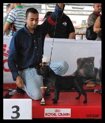 Red charming's - Resultats 10eme regionale d'elevage CFABAS