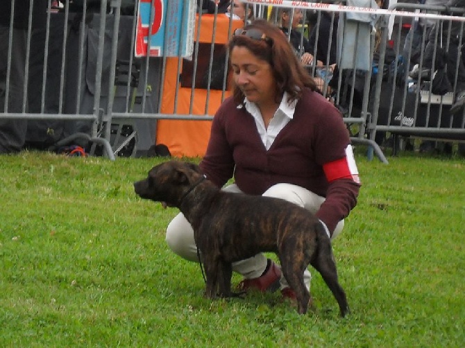 Red charming's - exposition aurillac 13.07.14