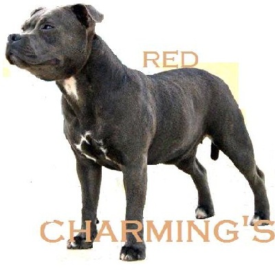 Red charming's - Exposition Internationale de Martorell