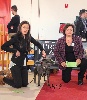  - National Dog Show Granada 2013