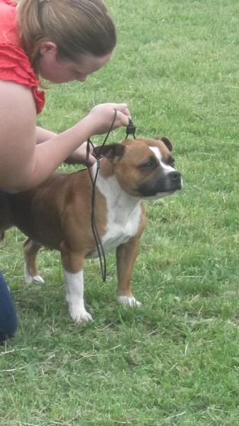Red charming's Good girl