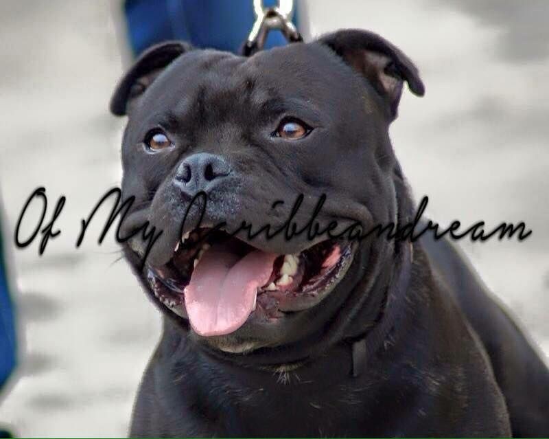 Red charming's Fantome